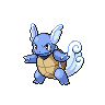 Image of a Wartortle