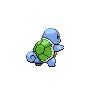 Back Image of a Shiny Squirtle