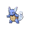Image of a Wartortle