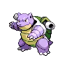 Image of a Shiny Blastoise